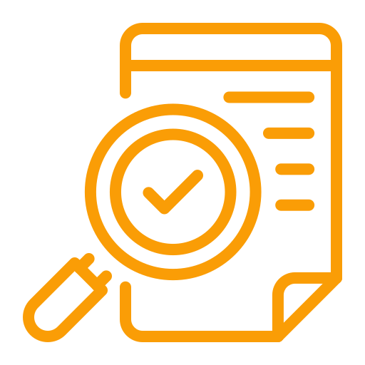 SAP Internal Audit